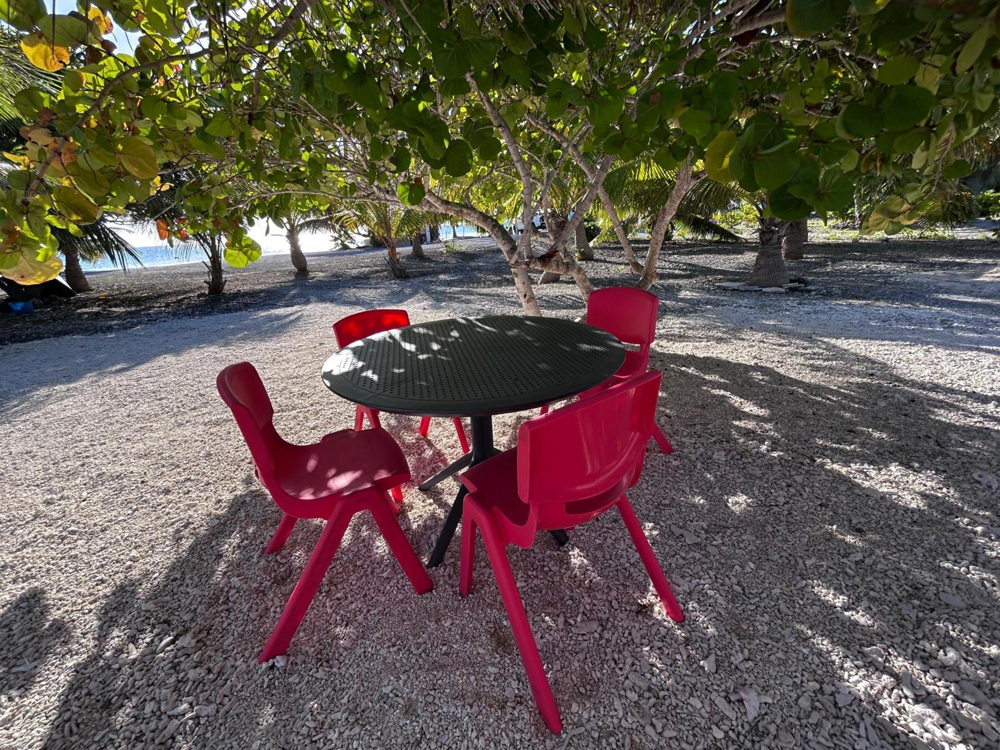 Rangiroa Bliss Hotel Tiputa Екстериор снимка